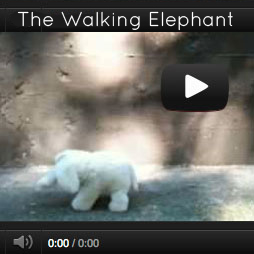The Walking Elephant