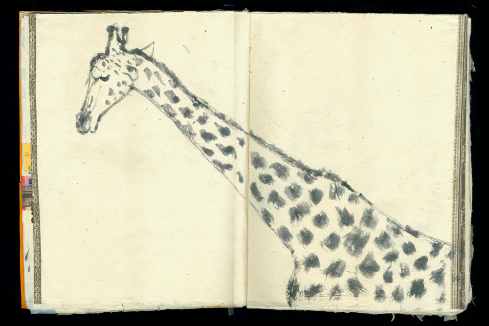 giraffegray