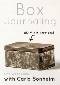 boxjournalbug