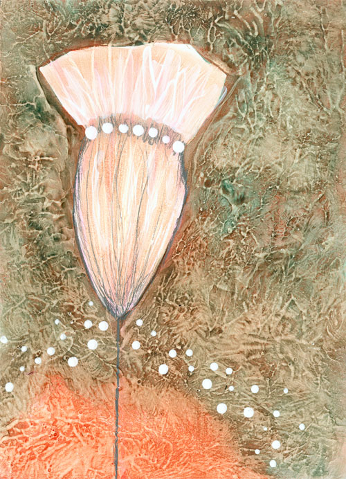 Peachflower Peachflower