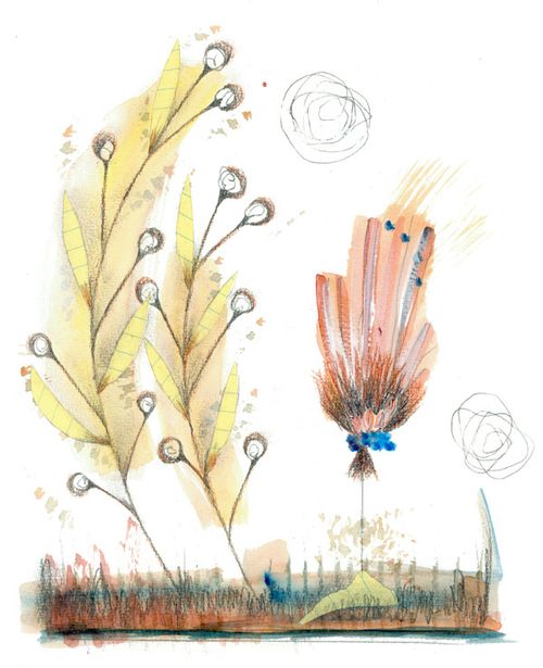 4.1flowers 4.1flowers