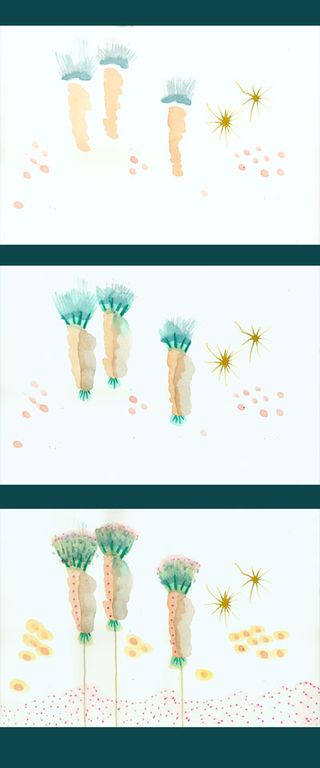 1.2together 1.2together